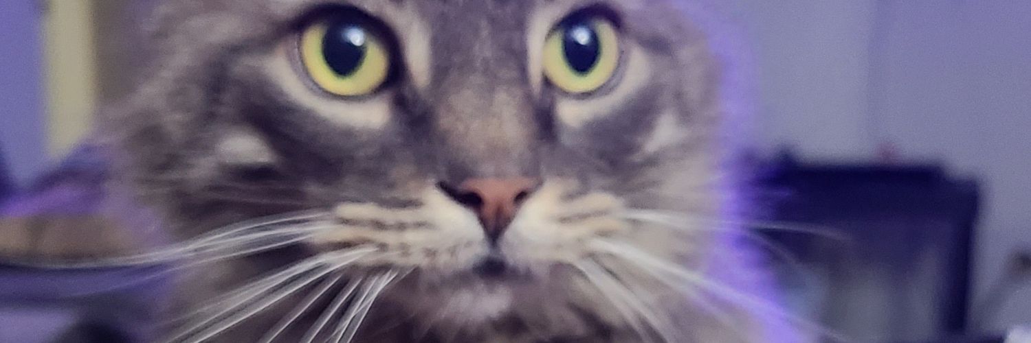 MLK512's profile banner image