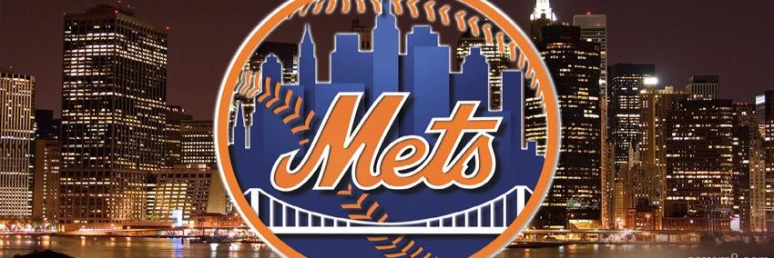 Elsa❤️🇺🇸💚🐕💛🦋🧡⚾️💙🇵🇷🤍 banner