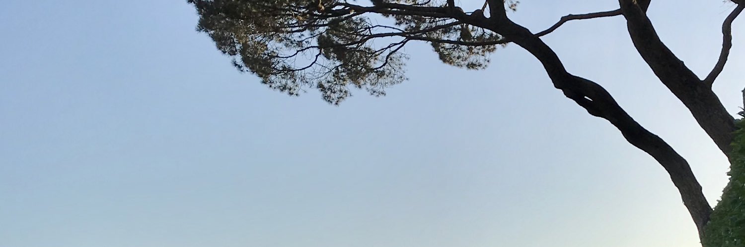 Viktor Andersson banner