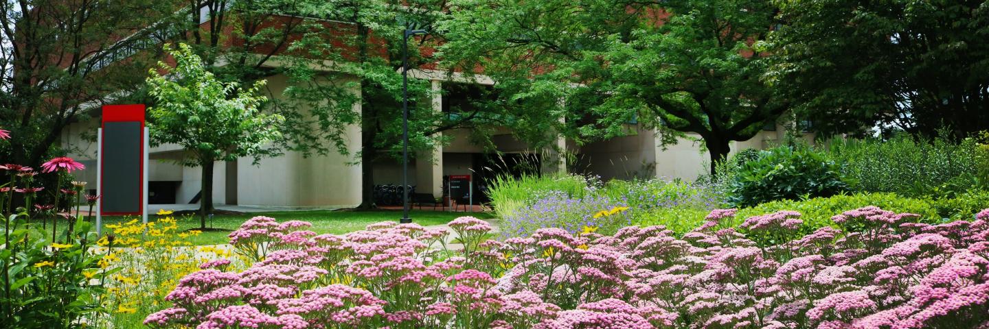 School of Environment and Natural Resources (SENR)'s banner