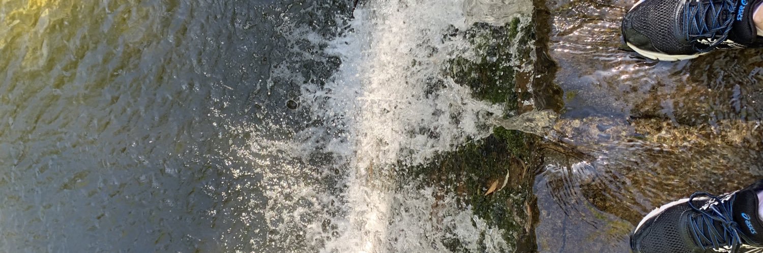 Alberto González banner