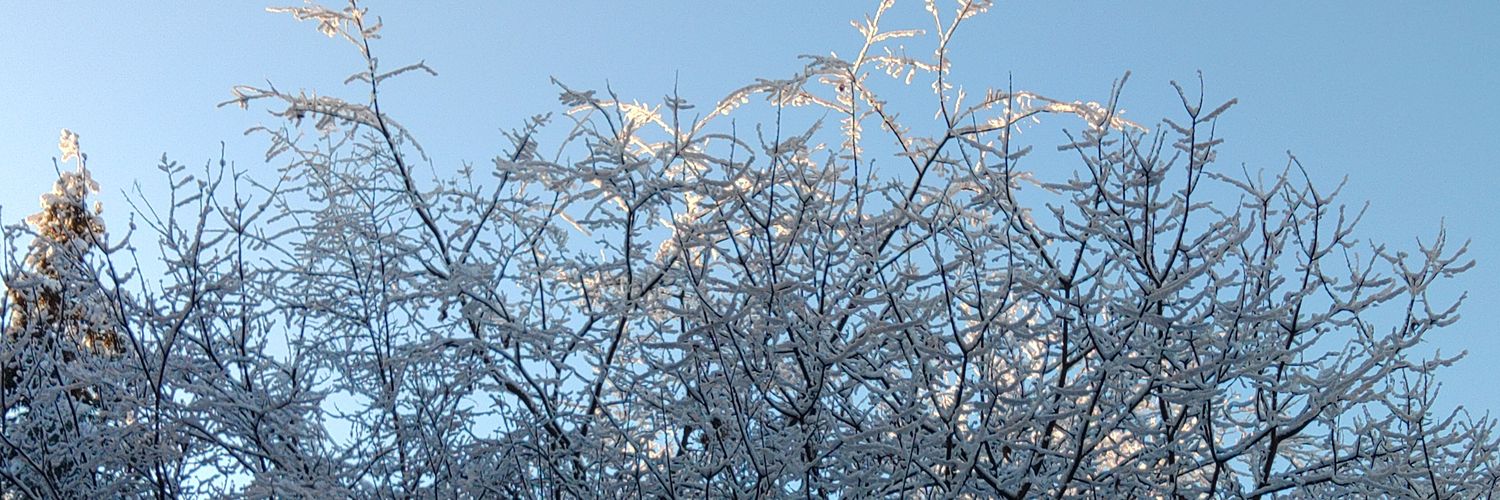 Kitty_Guy_Records banner