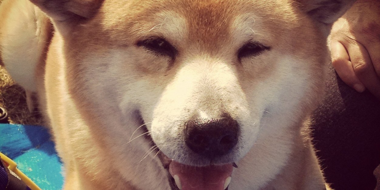 _yoshidatter's profile banner image