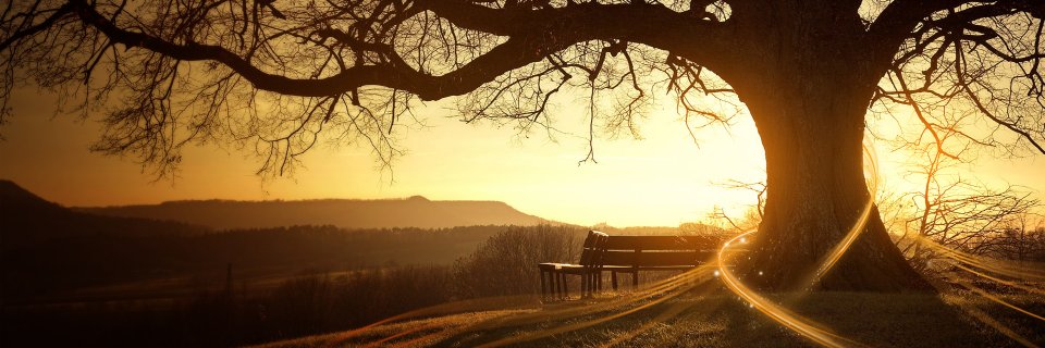 imsuryanshu's profile banner image
