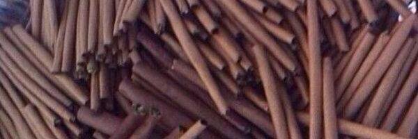 Lowkey_Joee's profile banner image