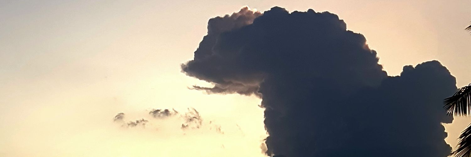 SaranrajMS's profile banner image