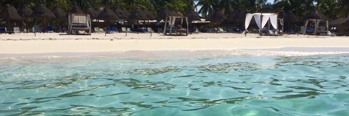 Emily Geeeee🧣🐾🌱🩺 banner