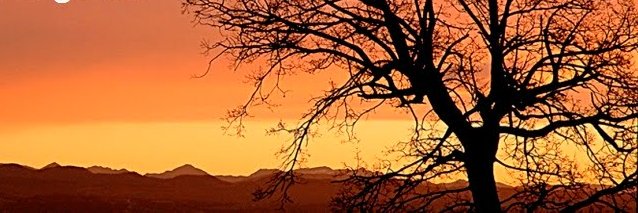 Fed ADF Berguedà banner