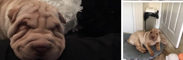 roo31's profile banner image