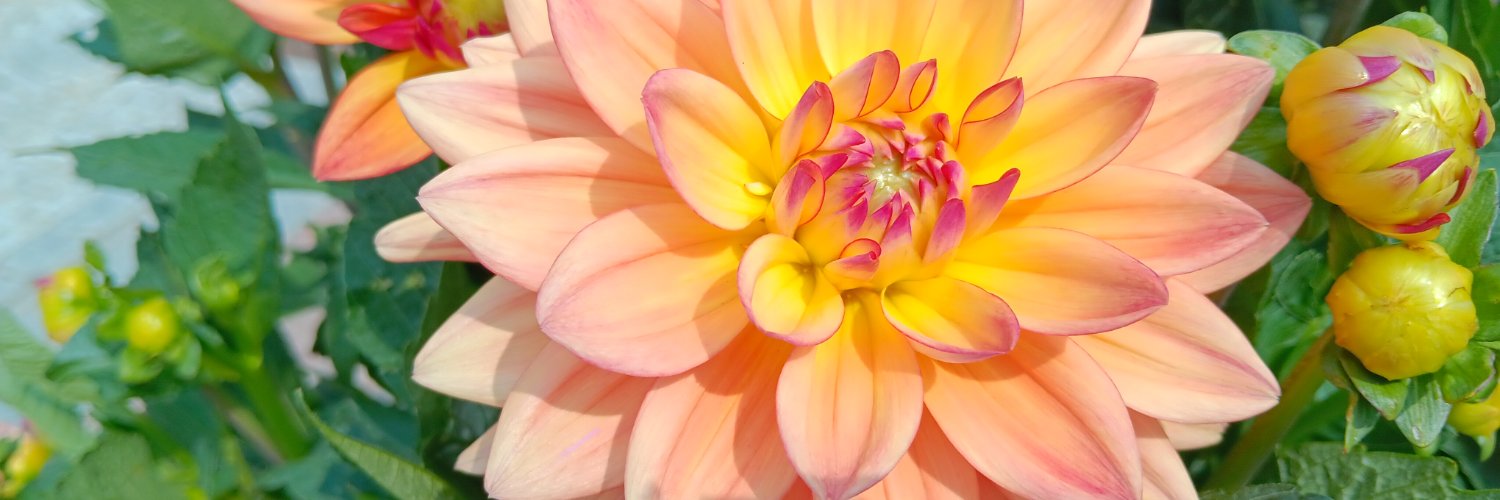 Foretagshuset's profile banner image