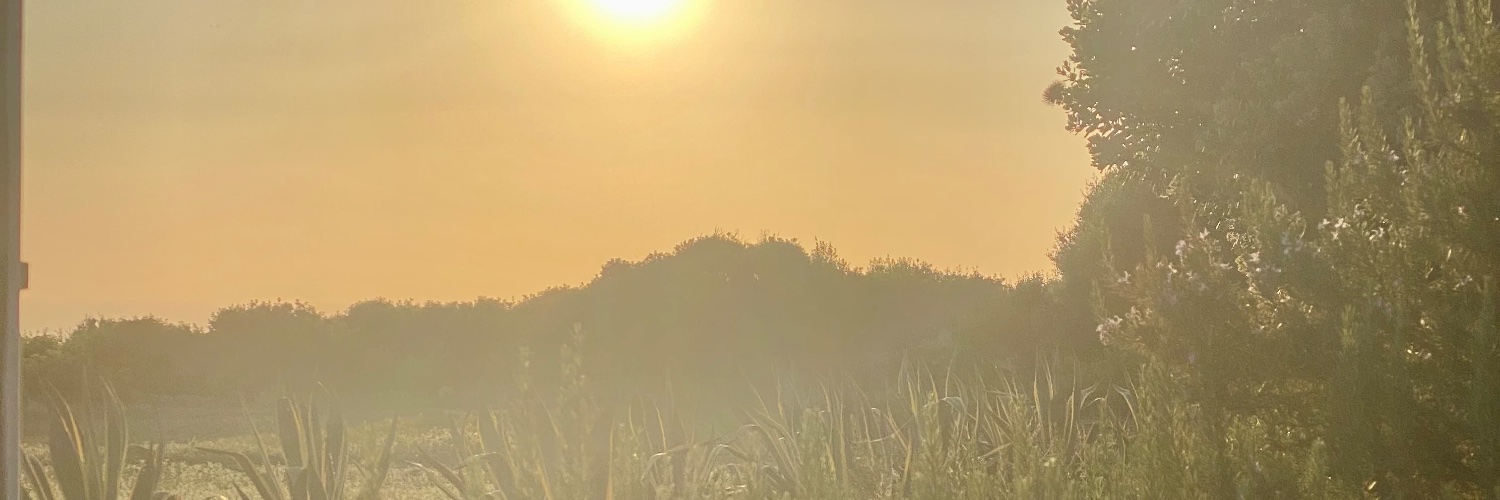 HesterVegter's profile banner image