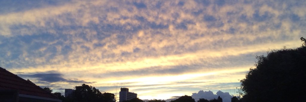 robertmclarty's profile banner image