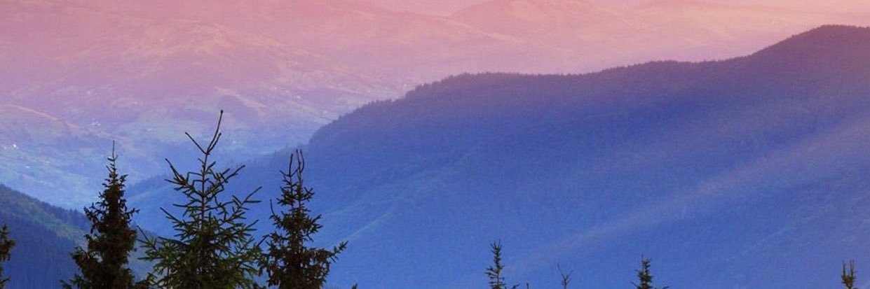 Cheevitchun's profile banner image