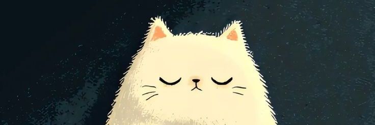 hajahebat's profile banner image