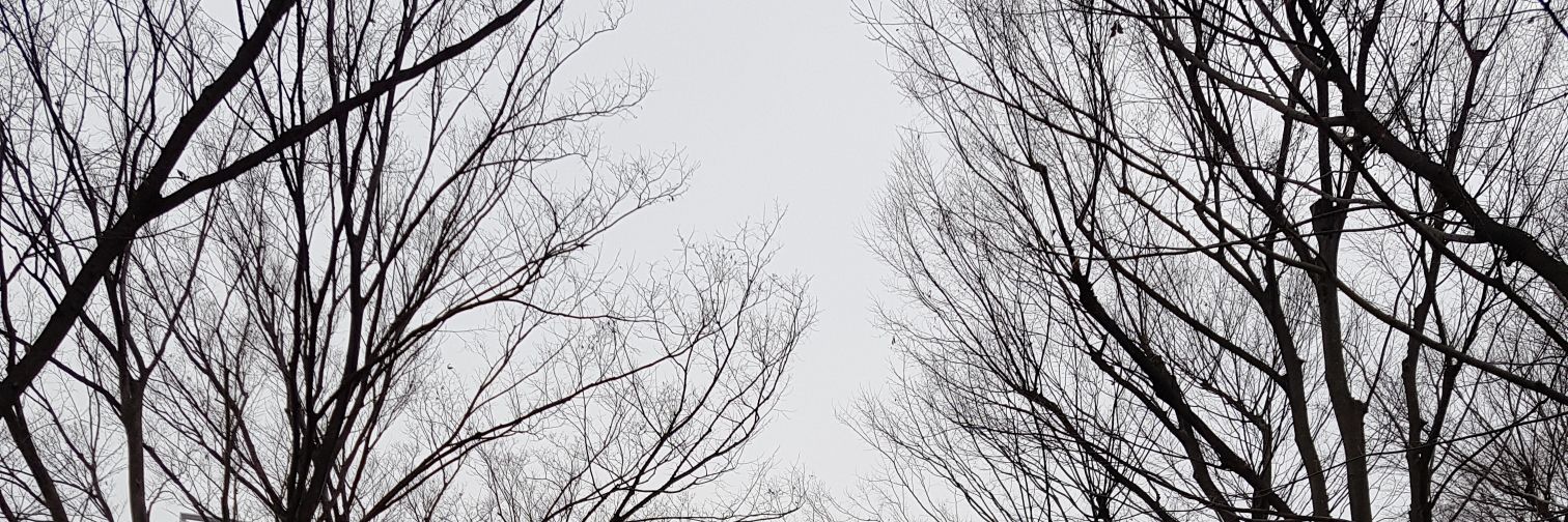 IceManUK85's profile banner image