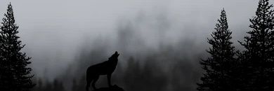 latis_b's profile banner image