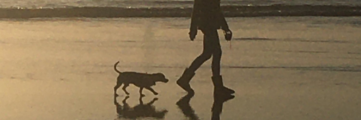 Chiweeniemom2's profile banner image
