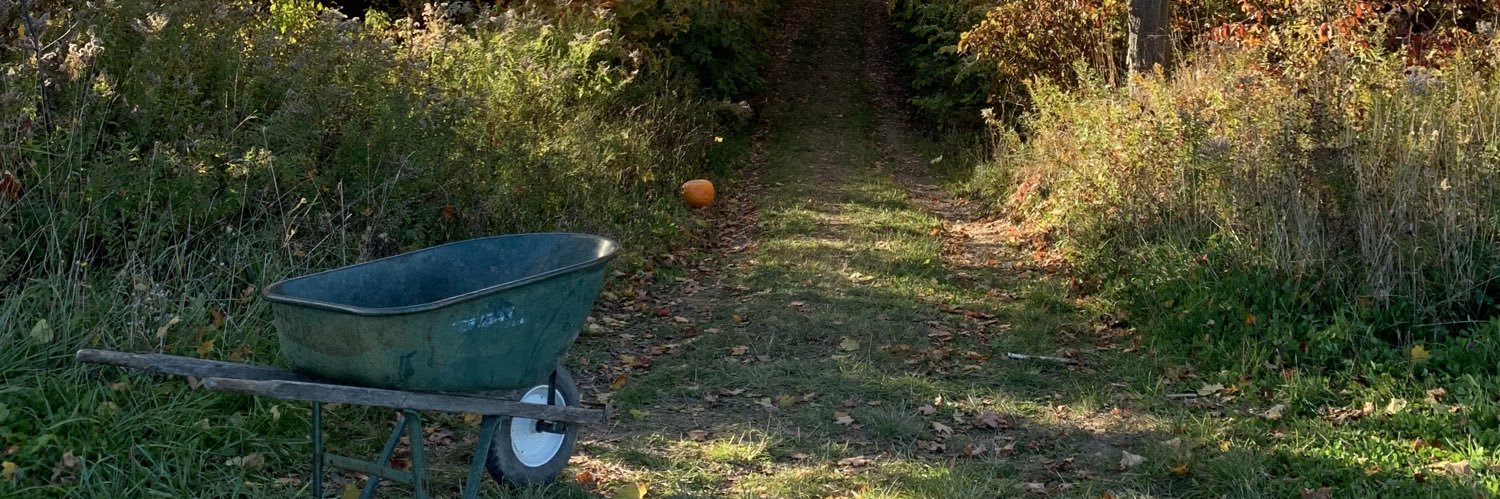 Sarah Delgado banner