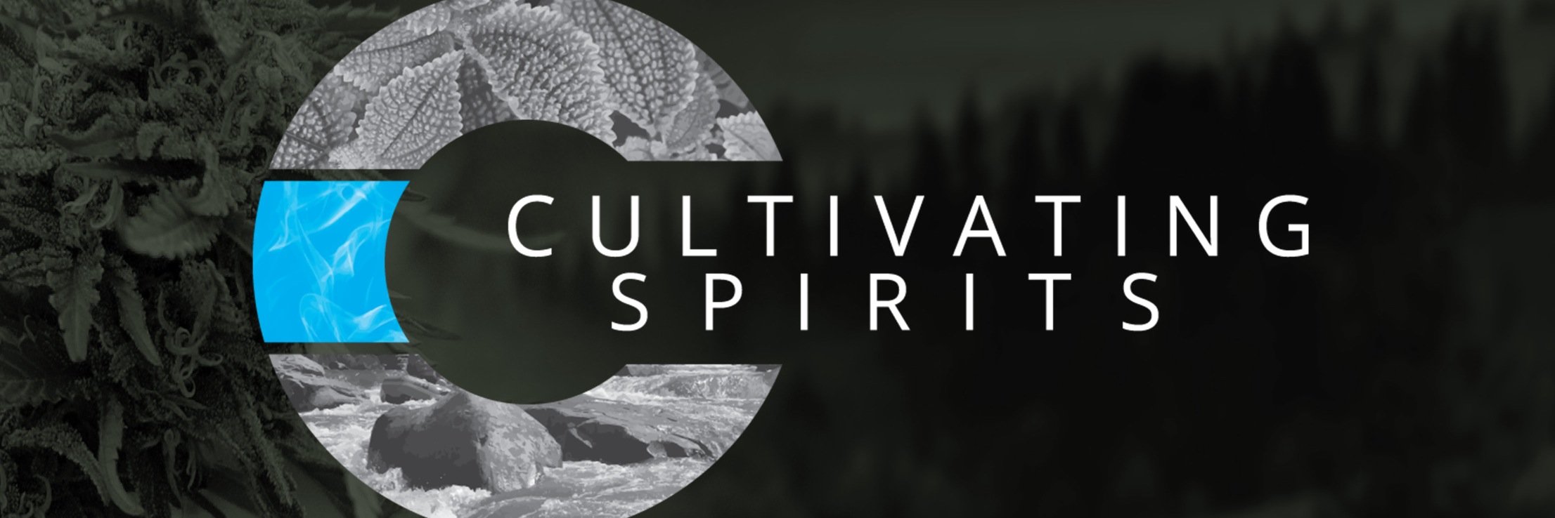 c_spirits's profile banner image
