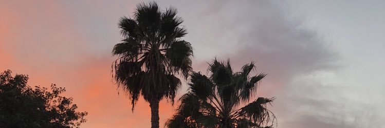 _not_brian's profile banner image