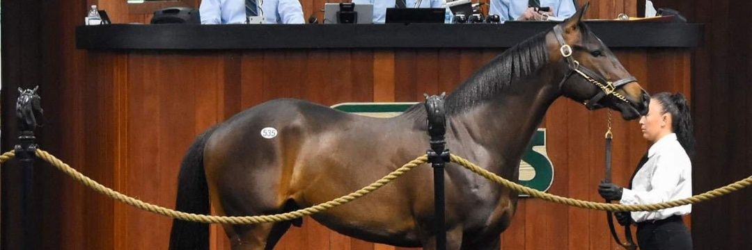 نواف الدهش - Nawaf banner