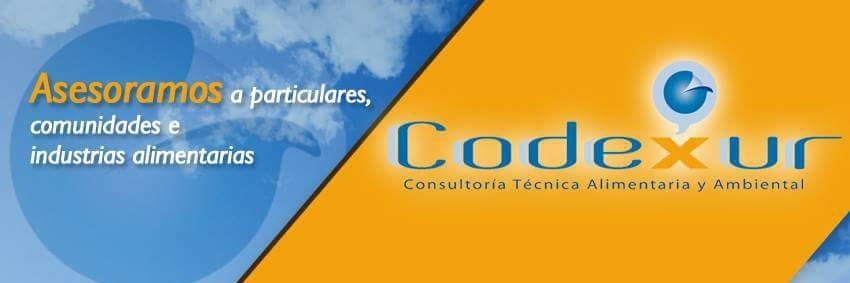 codexur's profile banner image