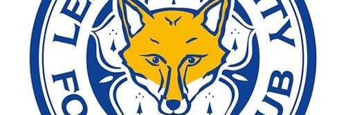 davethefox1's profile banner image