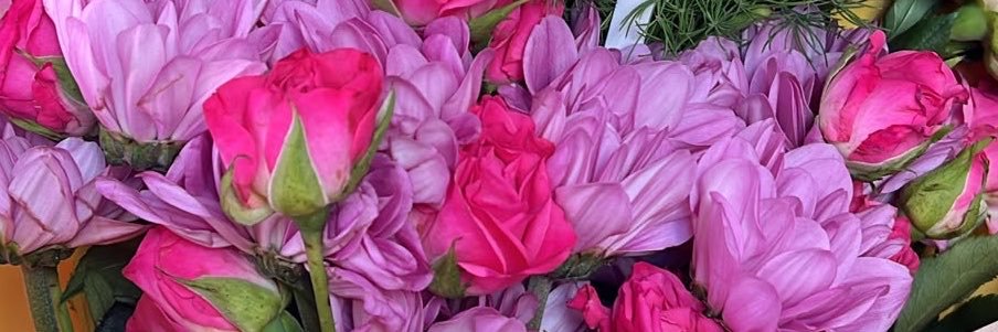 𝑨𝒚𝒍𝒊𝒏𝒏 💧 banner