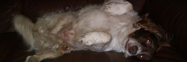 marcmarshall88 Profile Banner