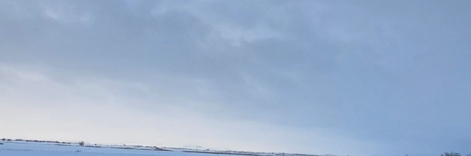 ialiyilmaz's profile banner image