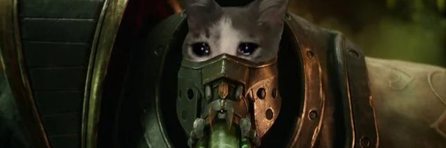 morciIla's profile banner image