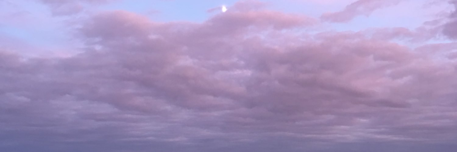 jtrant93's profile banner image