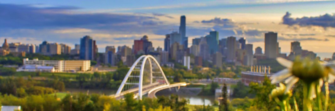 madisonrcote.bsky.social banner