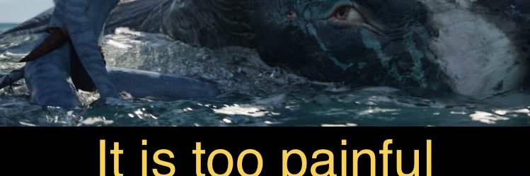 dylellis's profile banner image