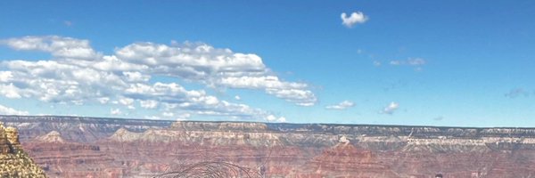 ashmo9 Profile Banner