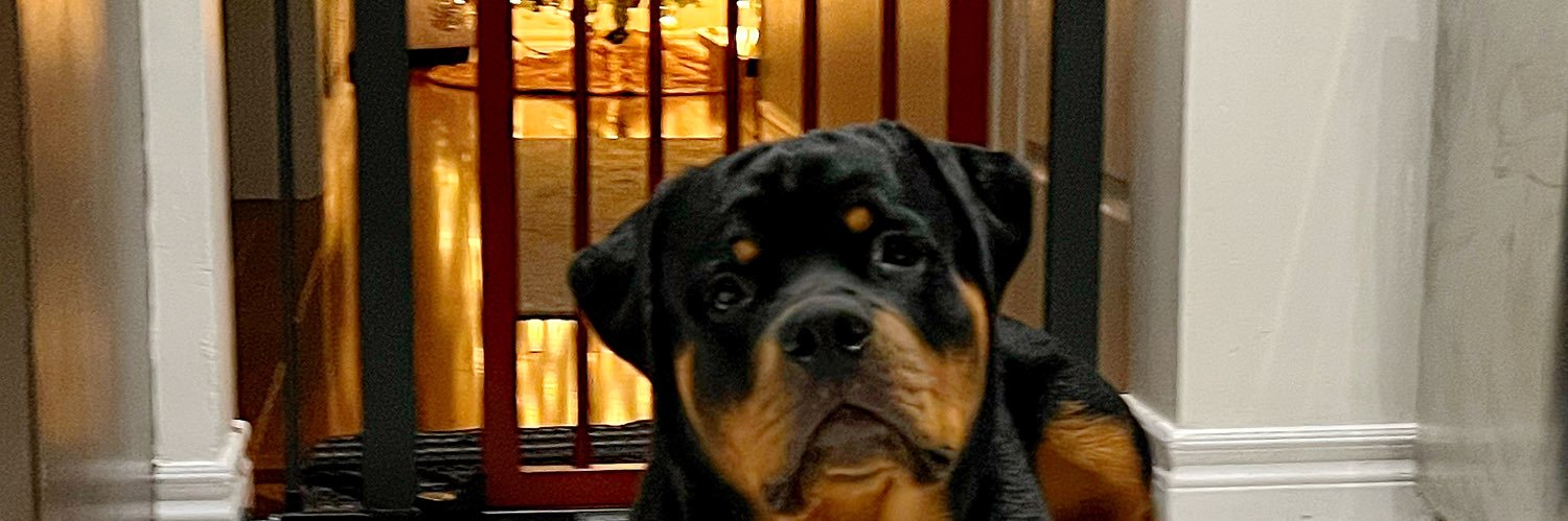 Marlo Del Rosario banner