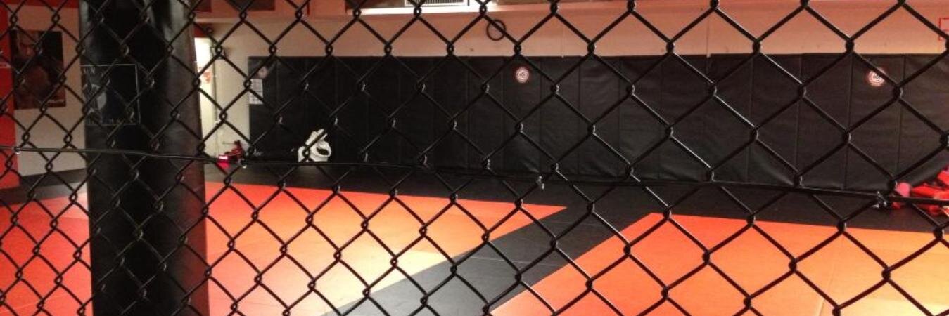 Absolute_MMA's profile banner image
