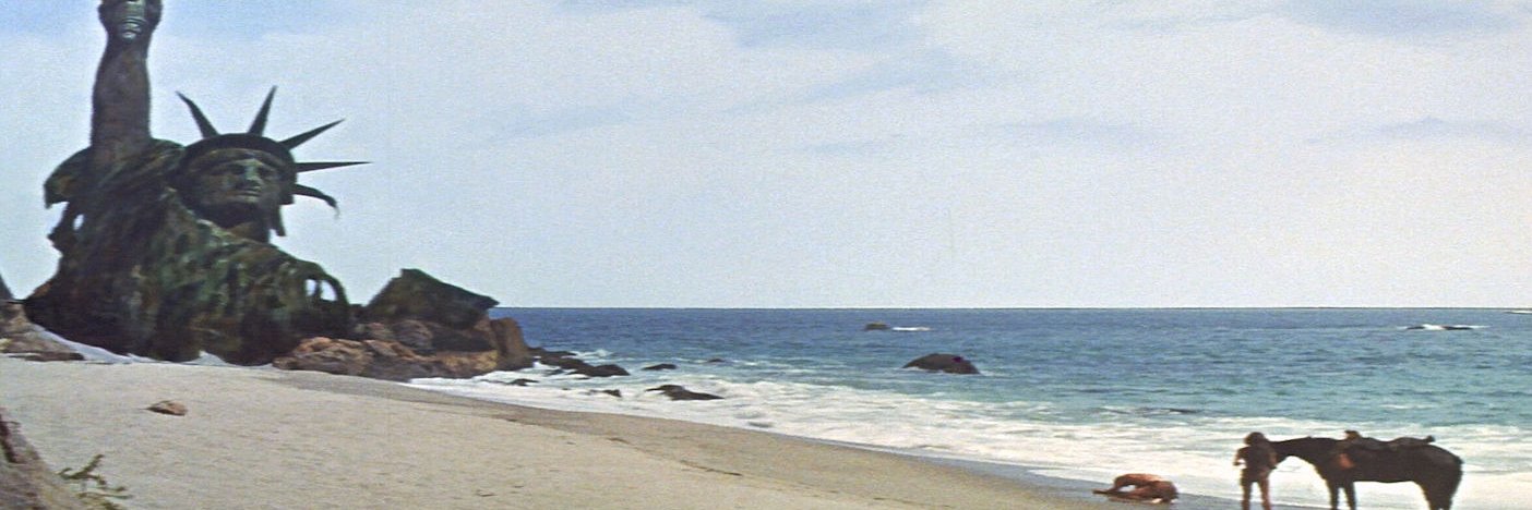 Timpositive ⚽🌻 I dissent! banner