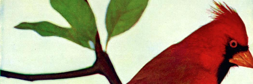 MonicaBay's profile banner image