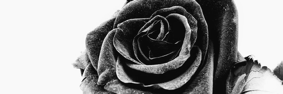 thandie_MS's profile banner image