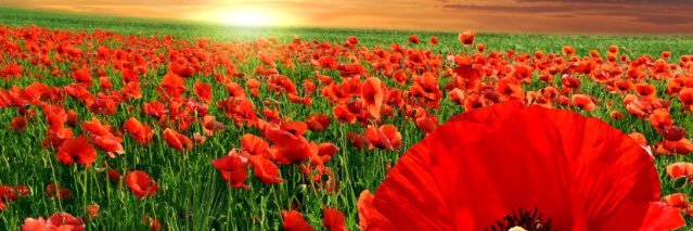debbiejones218's profile banner image
