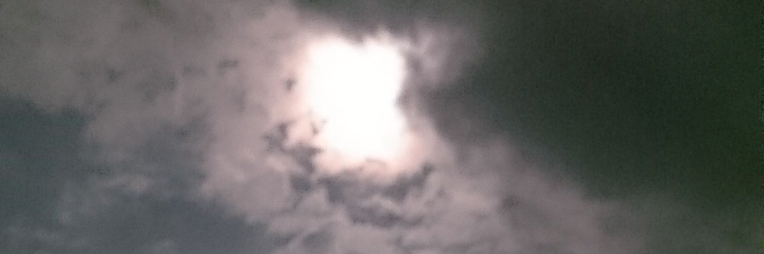Wholmesiv's profile banner image