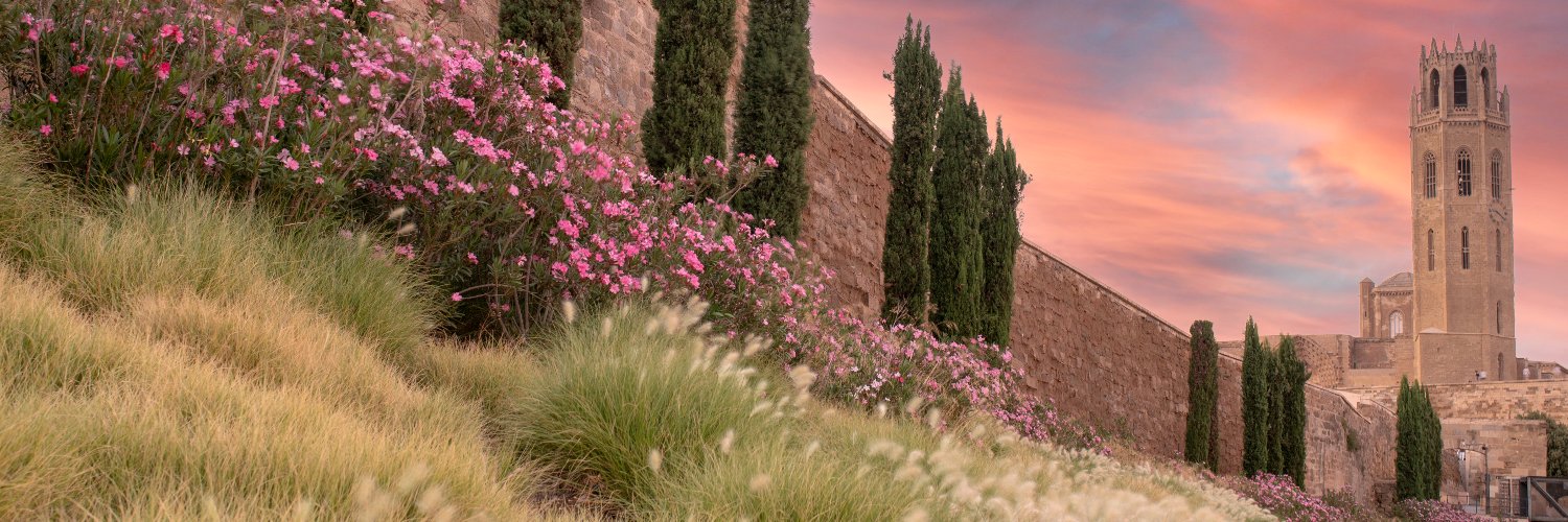 Lleida Turisme banner