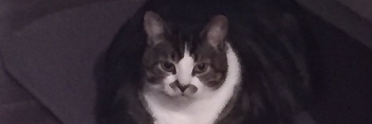 kmunro14's profile banner image