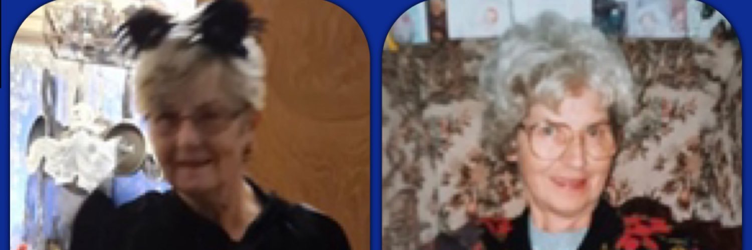 dynsyl's profile banner image