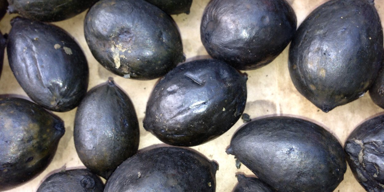 Naomi Darbishire banner