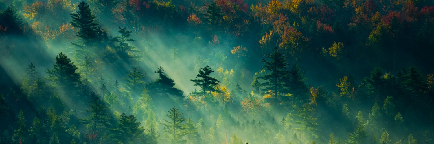 vic ('s version) banner