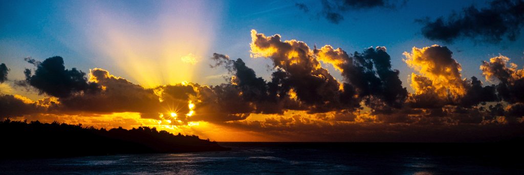 James A Berkley banner