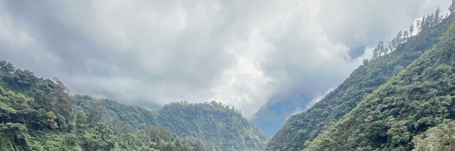 Javier A. Silva banner