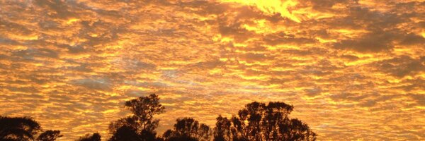 unconCEO Profile Banner